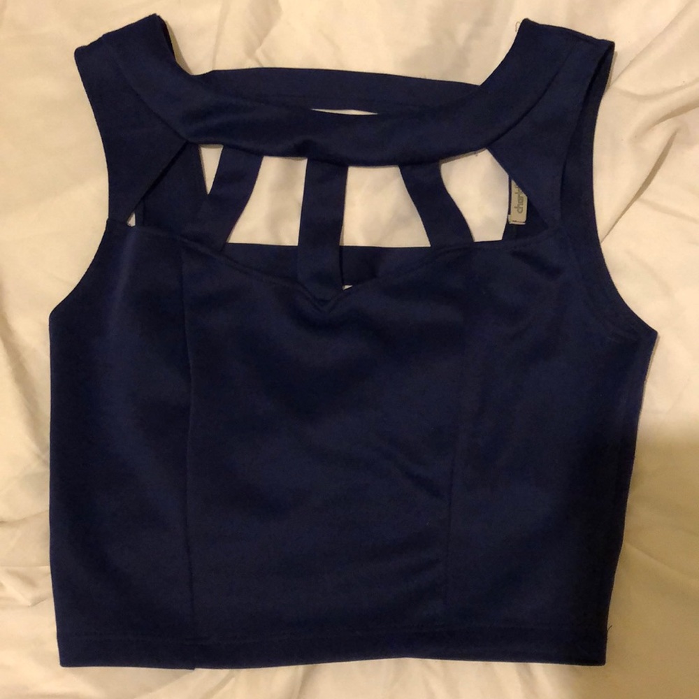 Violet Crop Top